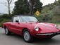 alfa romeo Spider (115)